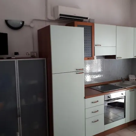Bibbona Summer - Pineta 3 -