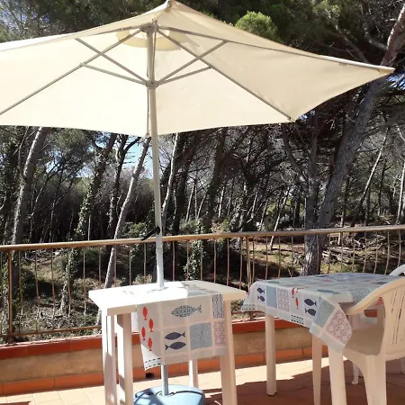 Bibbona Summer - Pineta 3 -