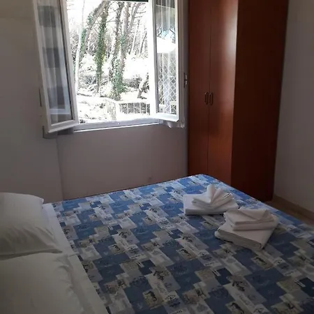 Bibbona Summer - Pineta 3 -