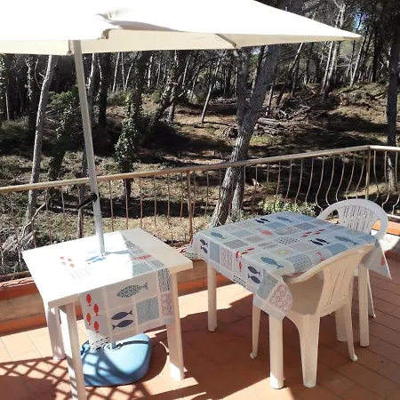Bibbona Summer - Pineta 3 - Appartamento