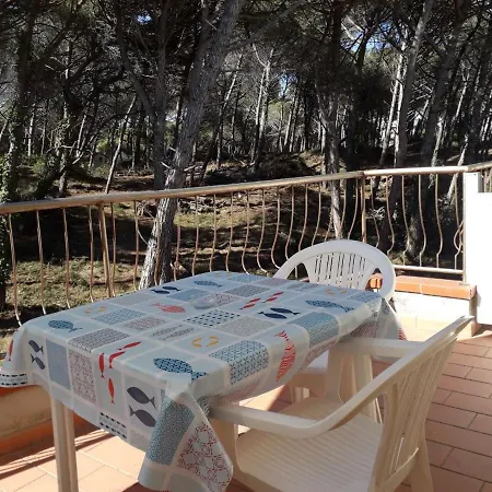 Bibbona Summer - Pineta 3 -
